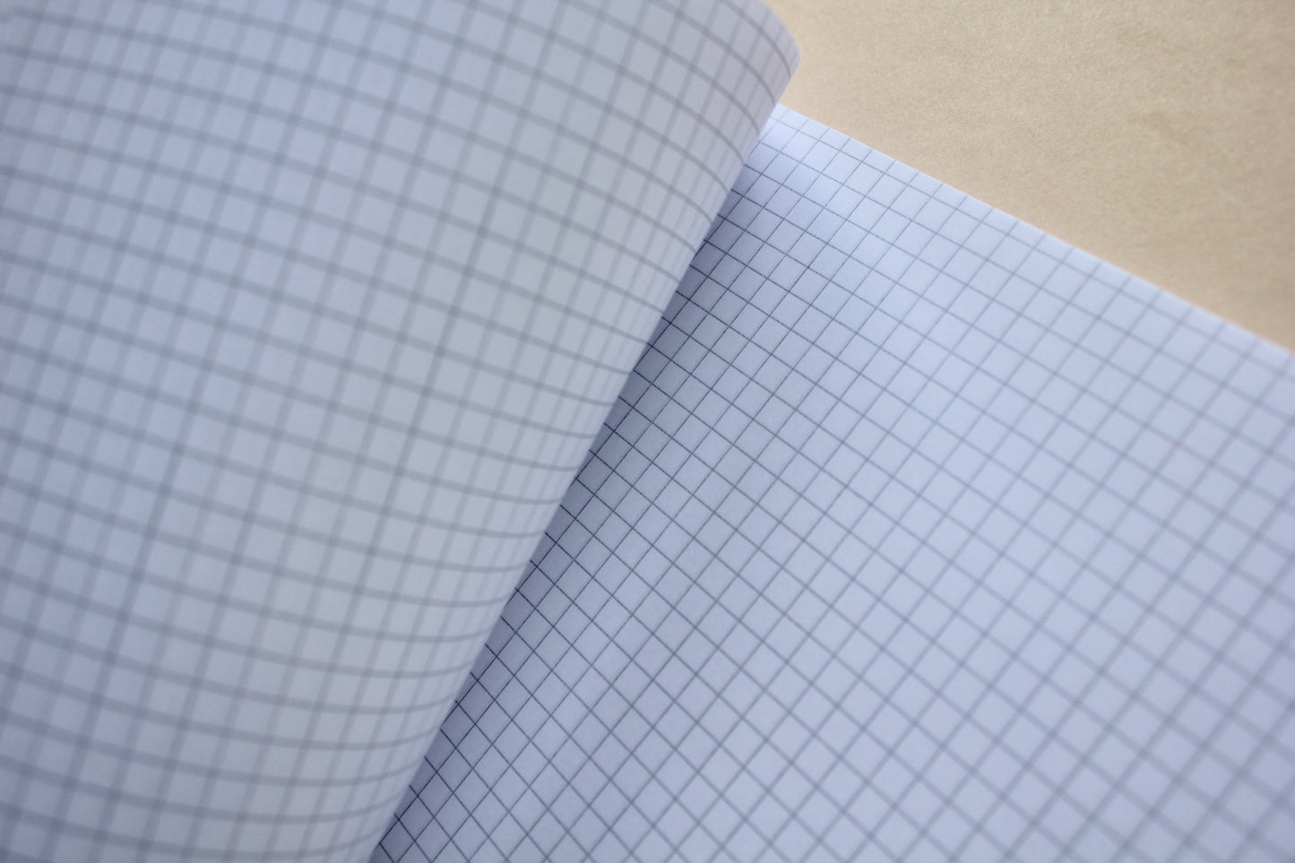 rhodia Basics (White)