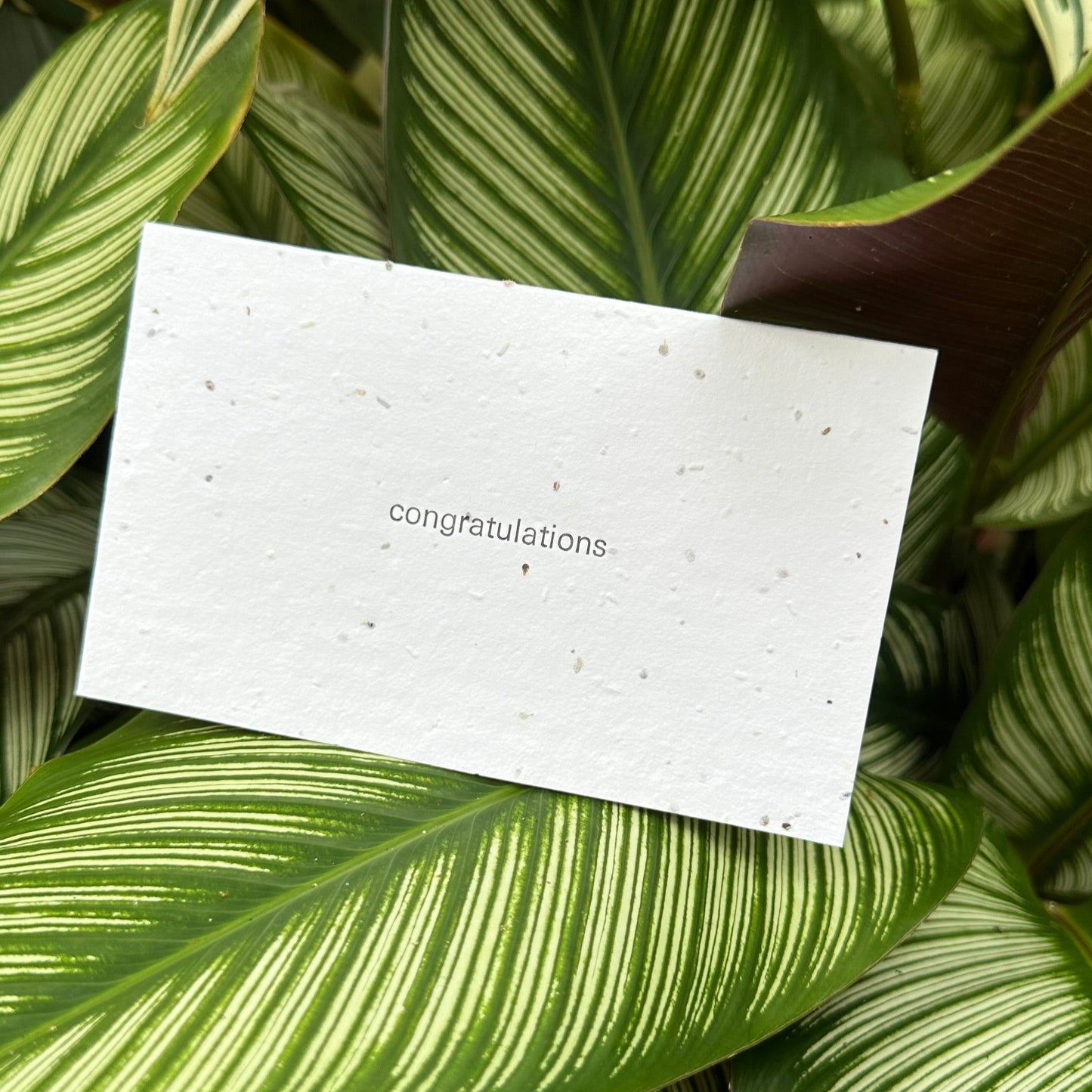 "Congratulations" Letterpress Card