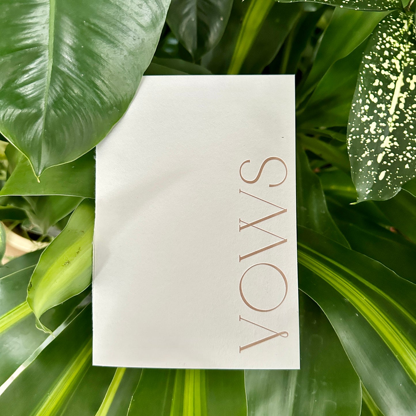 Coloured Vow Books